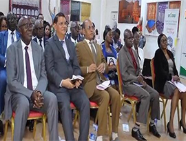 Image de l’article